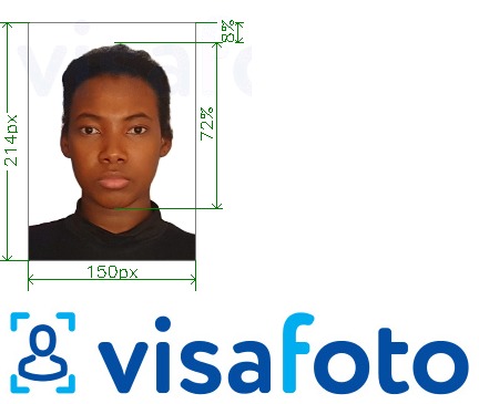  Gvineya Konakri paf.gov.gn uchun elektron viza uchun rasm namunasi zaruriy hajm xususiyatlariga ega